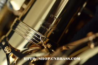 柳泽中音萨克斯a wo1 乐器配件选购与维护指南