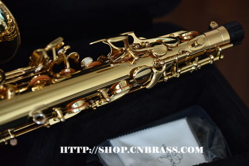 柳泽中音萨克斯A-WO1乐器配件全面解析